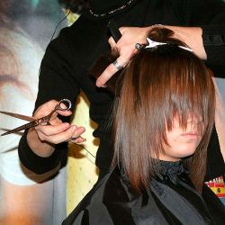 corte valladolid